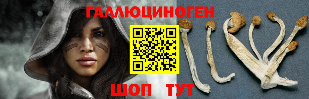 Ялуторовск  Псилоцибиновые грибы Cubensis  Псилоцибиновые грибы Magic Shrooms  Вход с VPN 